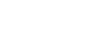 StreetFleet